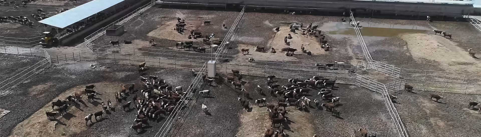Verbesserung der Sicherheit auf dem Bauernhof: mobile Sicherheitstürme in der modernen Landwirtschaft
